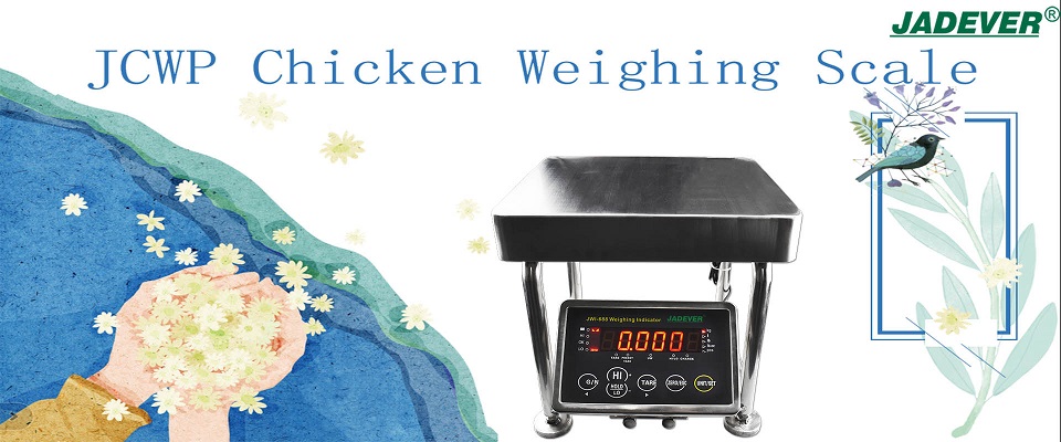Balança eletrônica de peso de galinha com grande indicador de peso LED