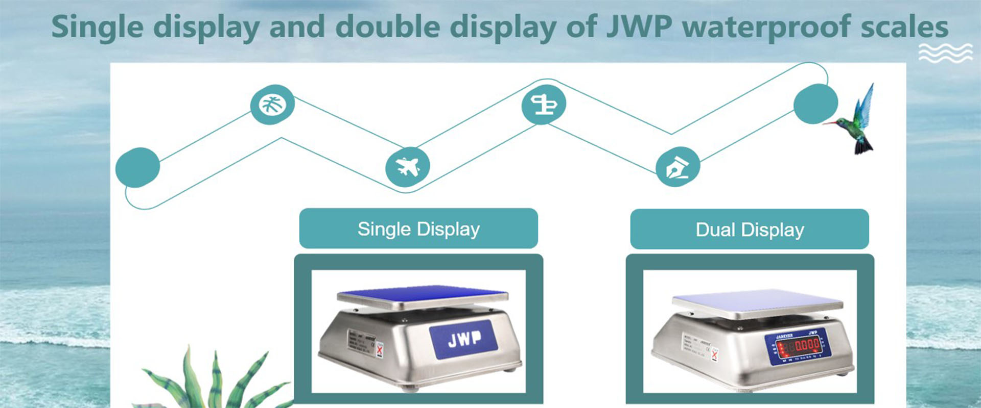 Exibição única e exibição dupla de balanças à prova d'água JWP
