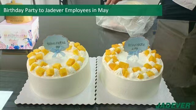 festa de aniversário dos colaboradores da JADEVER em maio
